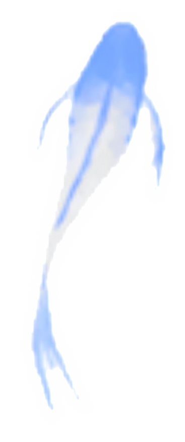 微信图片 20260920180845 507 164.png