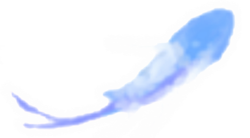 微信图片 20260920180844 506 164.png