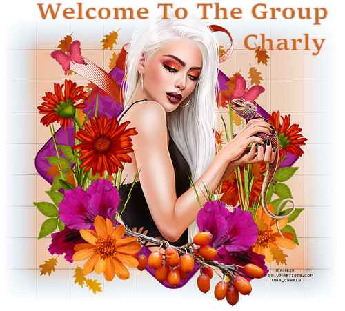 welcome.png