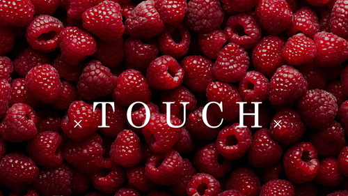 HUSH TOUCH.png