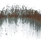 Texturelabs Details 126M