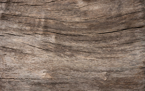 Texturelabs Wood 260XL.jpg