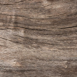 Texturelabs Wood 260XL