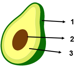 png k4lpgf 928.png