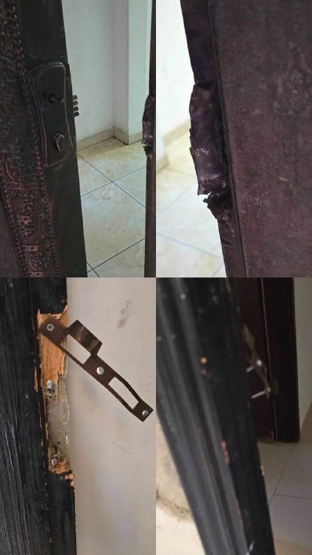 صورة الخبر