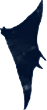 bird10.png