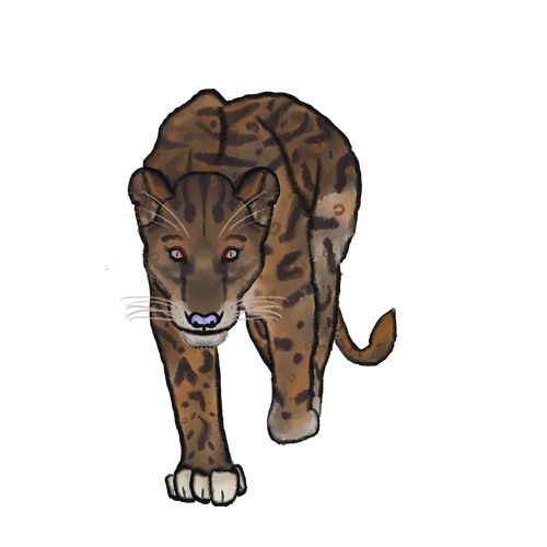 IMG 0152.png