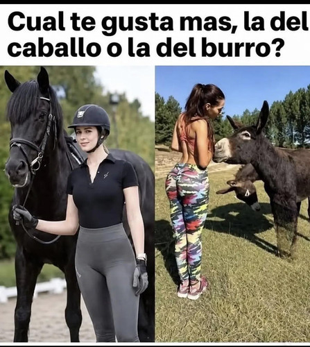 lmdm0yz32qqh1.jpg
