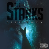 starksdisc2 1
