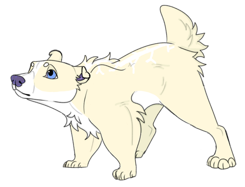IMG 0154.png