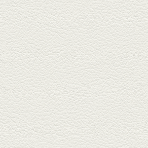 leather.png