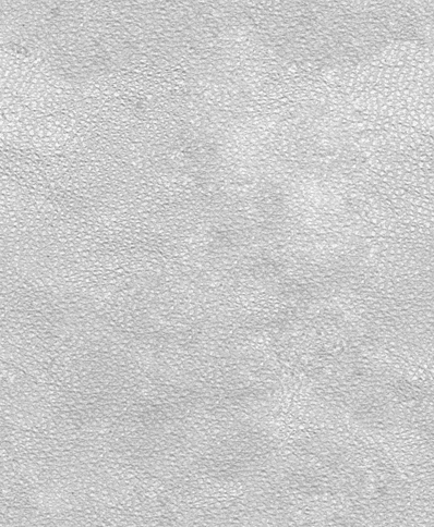dark leather.png