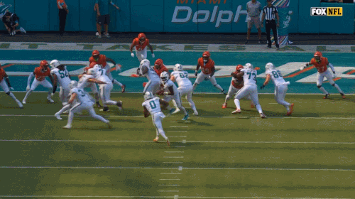 GIF 10 11 2026 2 13 36 PM.3