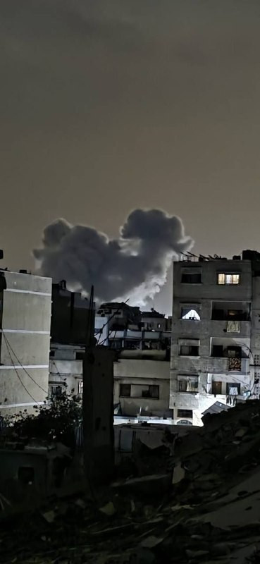 صورة الخبر