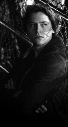 jesse 4.1