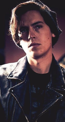 jesse 8.1