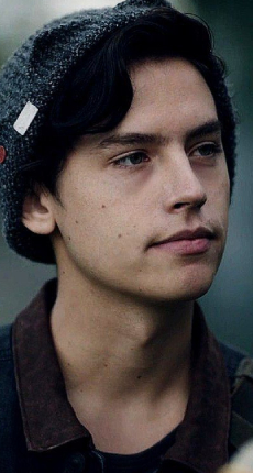 jesse 1.1