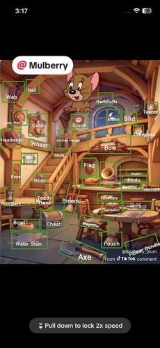 IMG 2623.png