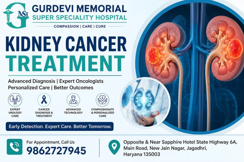 Kidney Cancer Treatment with Advanced Medical Support.jpg