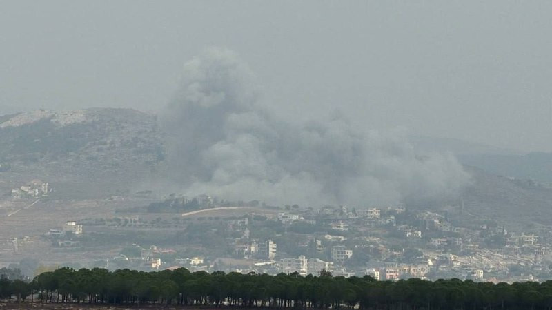 صورة الخبر