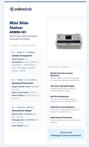  C Users pc Downloads gemini code 1791784892245.html.png