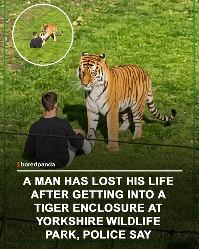 img facts.jpg