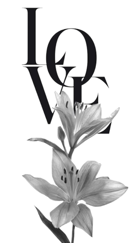 29.png