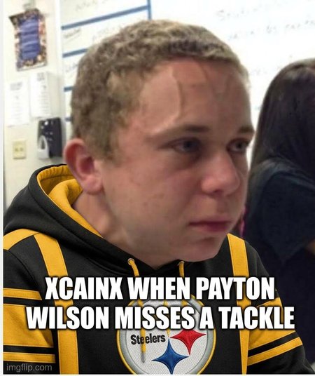 Xcainx_steelers.jpg