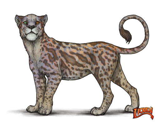 lioden wardrobe (3).png
