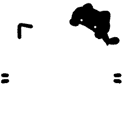 IMG 7377.3