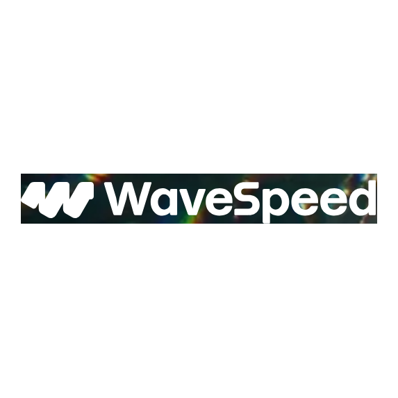 WaveSpeed AI logo