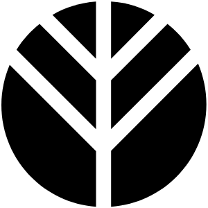 AIZOME logo