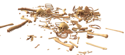 skull 3378748 960 720 1581777306 15817773088696 1585564264 15855642644868.png