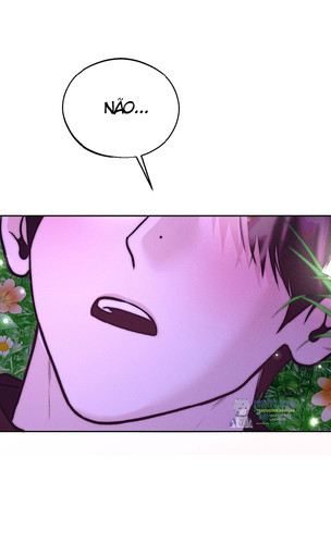 pagina.jpg