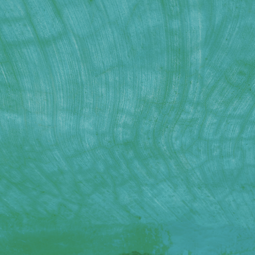 temp.png