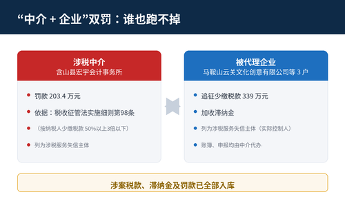 04 双罚结构.2