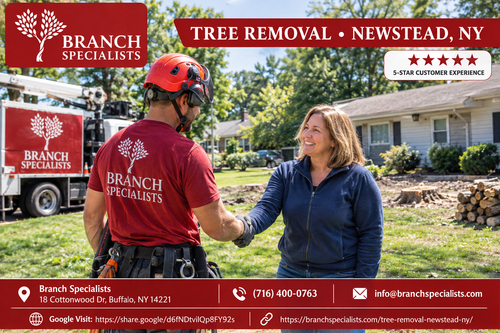 Tree Removal Customer Experience.2