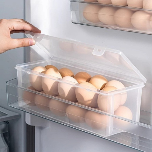 eggbox Standard.jpg