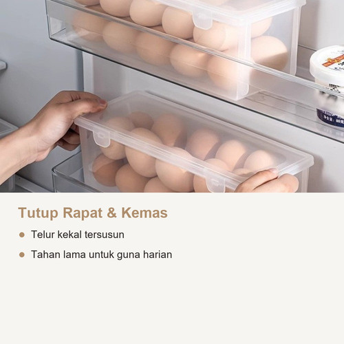 eggbox 03 extra.jpg