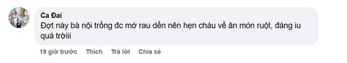 9995ca066f50.png