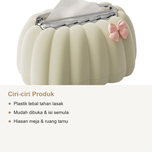 tissuebox 01 ciri.jpg