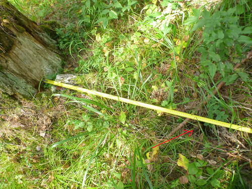 6acdbece3f49b.jpg