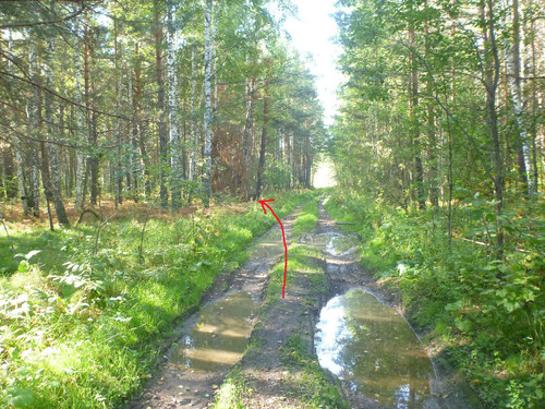 6acdbfb74f95e.jpg
