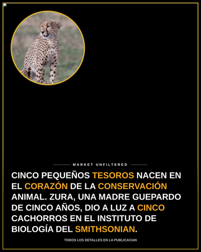 e61e45f4fa71.png