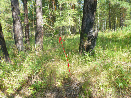 6acdbe5fc894d.jpg