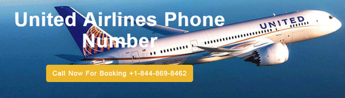 United Airlines Number.png