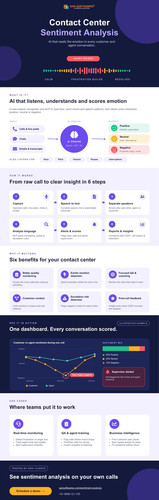 Sentiment Analysis Infographic.jpg