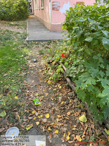 6acdfcfd09fd8.jpg