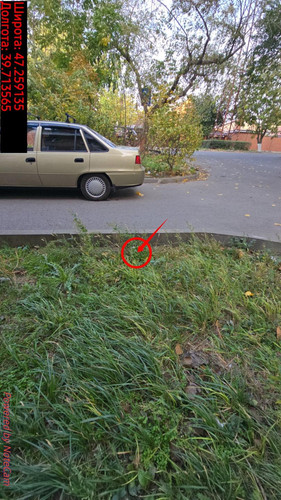 6acdfe098bd53.jpg