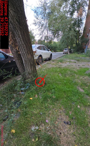 6acdfe9ea77e8.jpg
